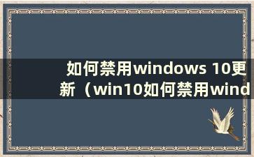 如何禁用windows 10更新（win10如何禁用windows更新）